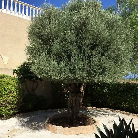 Cliffside With Panoramic Sea Views & Heated Pool Option